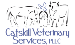 Catskill Veterinary Services